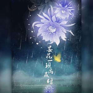 昙花一现雨及时（翻自 周深）