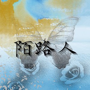 我想为你披上婚纱