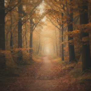 わたしたちの軌跡