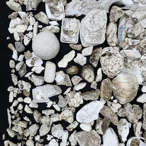 바람이 지나가는 자리