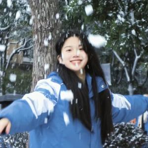 你是北纬67度以北的雪