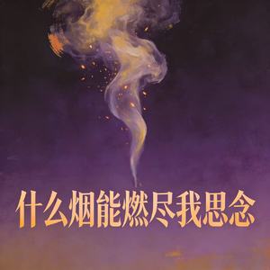 什么烟能燃尽我思念