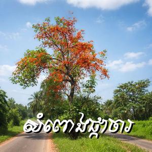 សំពោងផ្កាចារ