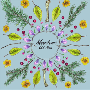 Old Man and the Sea (Nickolas)