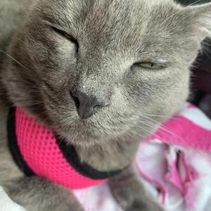 Money Rings (feat. Cyrex & Producer Layla)