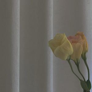 周一的清晨还在下雨