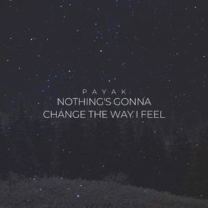 Nothing's Gonna Change the Way I Feel (Edit)