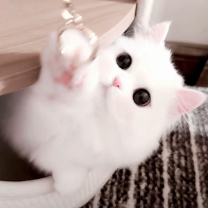 演奏