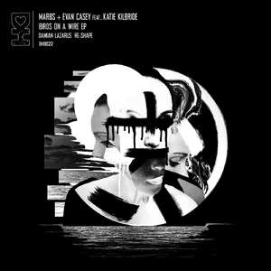 Birds on a Wire (Damian Lazarus Re-Shape)