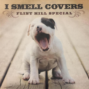 Hot Burrito Breakdown (feat. Kent Nelson on Banjo, Buzz Sawyer on Guitar, Glenn Hamilton on Mandoline & Pete Lorentz on Bass)