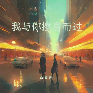 我与你擦肩而过