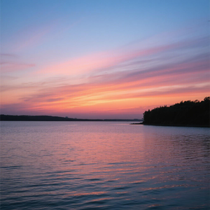 明月流光照寒窗