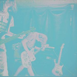 Pigs in the Basement