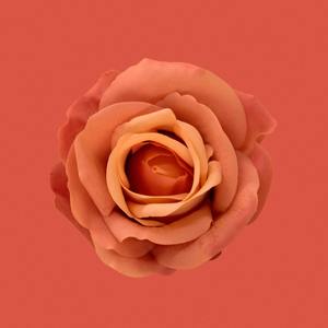 卡农难掩我泪浓（Prod.No Birthday, Feat. Geta）