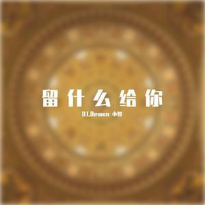 半吨兄弟_留什么给你（DJ.Demon 小智 remix）