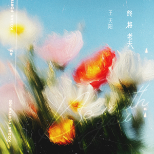 终将老去
