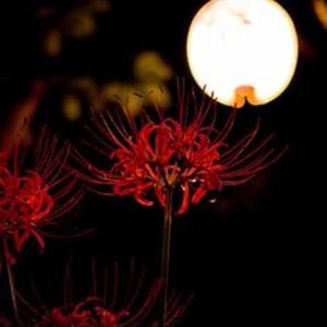 Heebiejeebies (sped up)