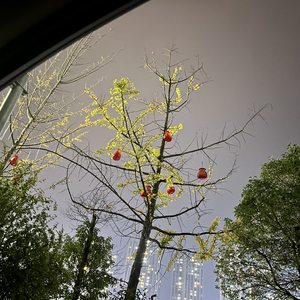 电子信 prod.by Morrow