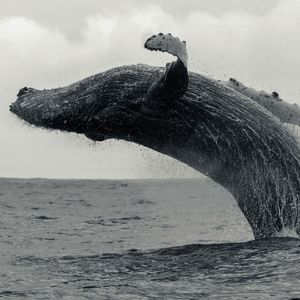 通宵（prod.SOBY ）