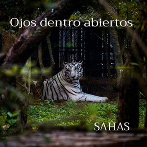 Amigo Mio (Sahas)