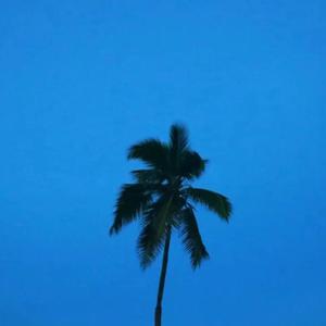 与faker的华尔兹01