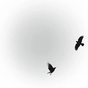 哪里都是你（Cover 队长）