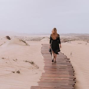 The Voice You Borrowed