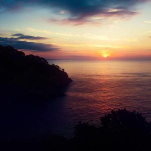 迷雾里看清一切