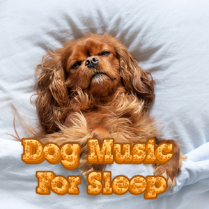 Separation Anxiety For Doggies