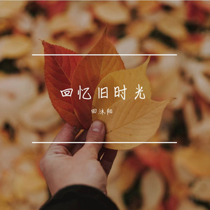 那一年秋天 伴奏