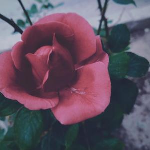 茧·剑网三剧情版