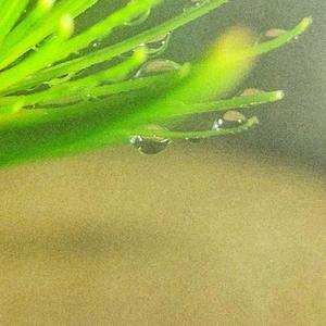 唱支山歌给党听 (古筝静心纯音乐)