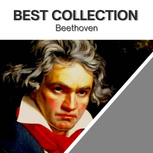 Violin Sonata No.5, Op.24: 3. Scherzo. Allegro molto