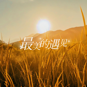 最美的遇见