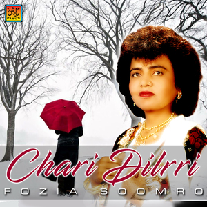 Mile Dil Vaaro Munkhe