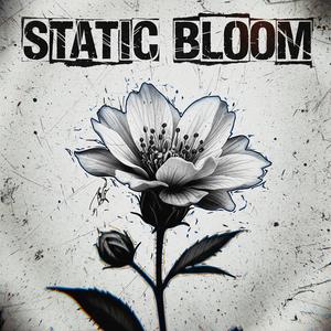 Static Bloom