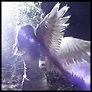 life of the detached