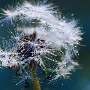 生日礼物让我真的不快乐 女生版