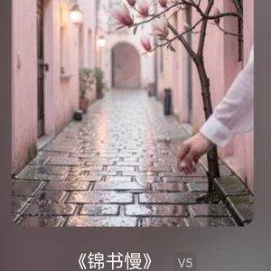 锦书慢