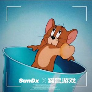 猫鼠游戏（Chasing Game）