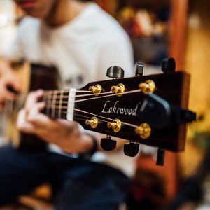 晚夜微雨问海棠