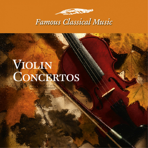 Violin Concerto in G Major, Hob: VIIa:4. Allegro moderato