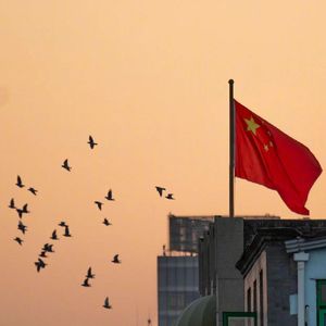 孤独与成长
