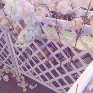 离春天最近的街道/春に一番近い街