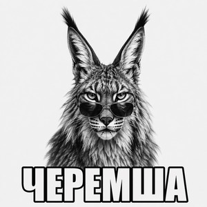 Черемша