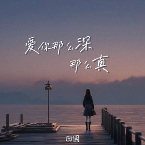 爱你那么深那么真 (DJ铁柱版)