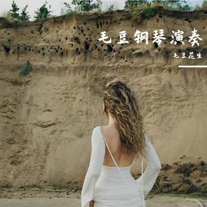 去有风的地方—钢琴弹奏