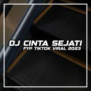 DJ CINTA SEJATI