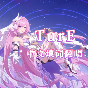 TurE 中文填词翻唱