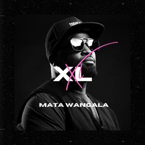 XL (Shatta remix)